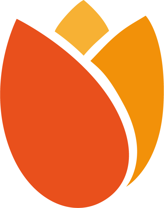 PAA Tulip