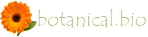 {{'logoAltText' | phrase}}